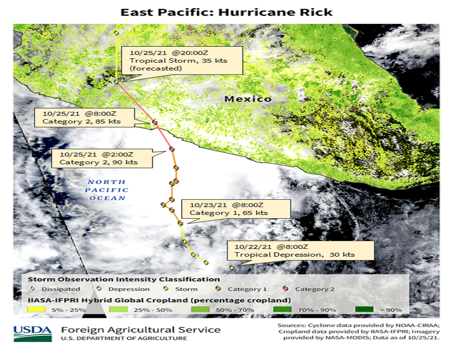 images\Year_2021\October\Cyclones\Mexico, Central America and Caribbean\Rick_thumb.png